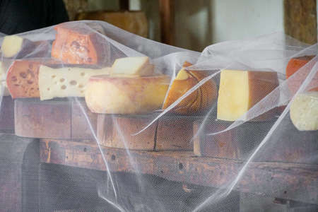 Variety of traditional cheese in a cheese farm store, dry aged cheesesの写真素材