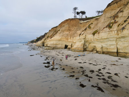 Dog Beach off-leash on Del Mar North Beach, people walking their dogs. San Diego County, California, USA. November 20, 2020のeditorial素材