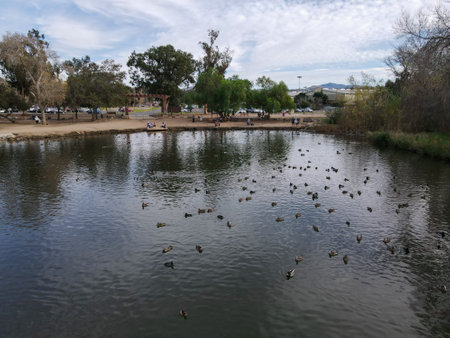 Aerial view of lake at the Kit Carson Park, municipal park in Escondido, California, USAの写真素材