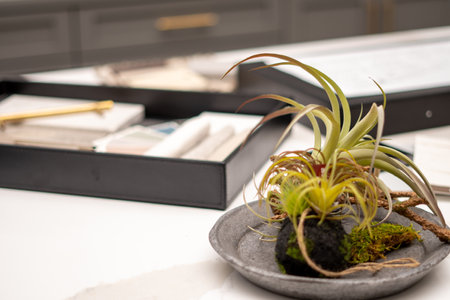 Interior designers working table, an architectural plan of the house, a color palette, furniture and fabric samples. Drawings and plans for house decoration.の写真素材