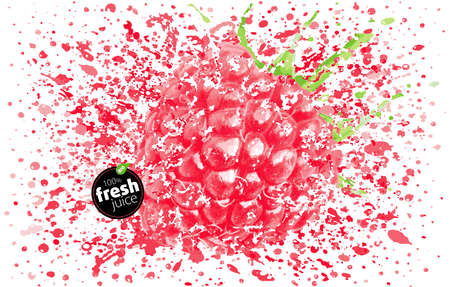 Raspberry with a splash of fresh juice. Explosion and splashes of ripe juicy fruit. White background. EPS vector Illustrationのイラスト素材