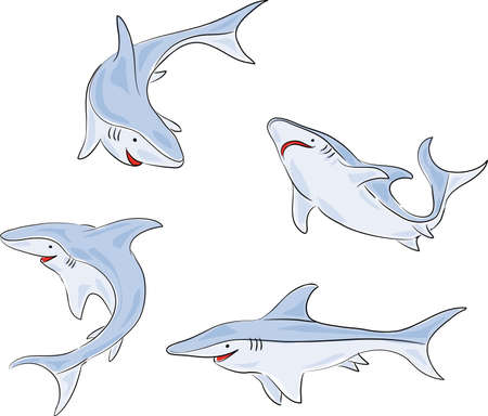 four pictures of a young sharkのイラスト素材