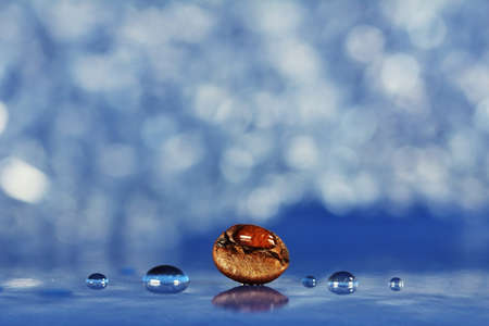 Coffee Beanの素材