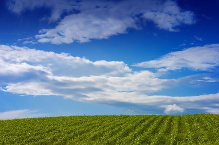 Looking over a green landscape to the horizon, under a dramatic blue sky with gathering cloudsの写真素材
