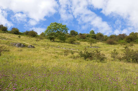 Rural countryside landscape in Lathkill Dale part of the Derbyshire Dales in the Peak District National Parkの写真素材