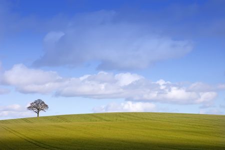 Looking over a rural English winter landscape to a distant tree on the horizon under a cloudy blue skyの写真素材