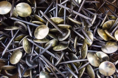 Bunch of nails with round capの写真素材