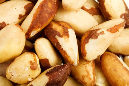 Close up of the Brazil nuts - backgroundの写真素材