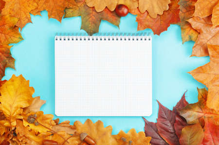 Frame composed of colorful autumn leaves with notebook on blue background. Autumn mock-up with copy...