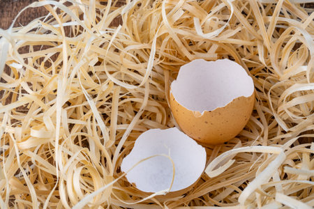 Broken egg, egg shell, broken brown chicken egg in a straw nest. High quality photoの写真素材
