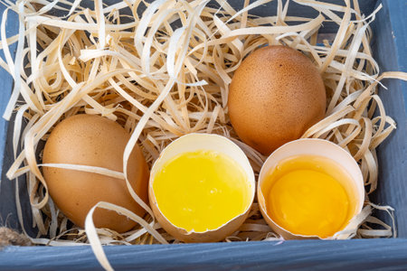 Broken eggs. Homemade chicken eggs. Egg yolk, white. Eggs in a wooden stand. High quality photoの写真素材