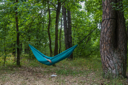 The girl lies in a camping hammock tied to trees in the forest. Camping. Camping, hiking. High quality photoの写真素材