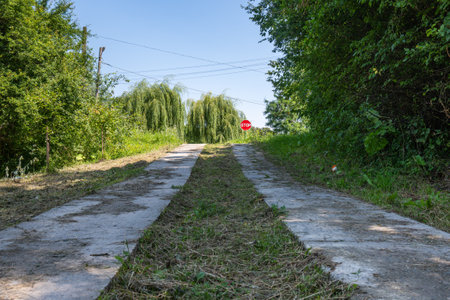 The road up leading to an intersection where there is a STOP sign. On the sides are trees, grass. High quality photoの写真素材