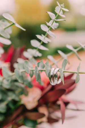 wedding rings on red roses on the bridal bouquetの写真素材