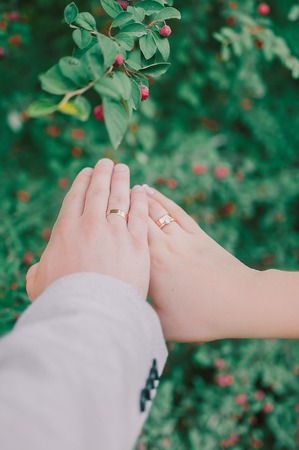 Golden wedding rings on green plantの写真素材