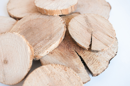 Wood saw cut on a white backgroundの写真素材