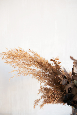 dried flowers on a white backgroundの写真素材