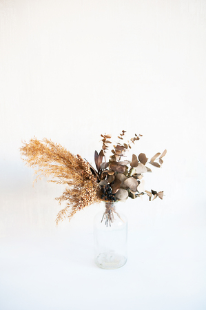 dried flowers on a white backgroundの写真素材