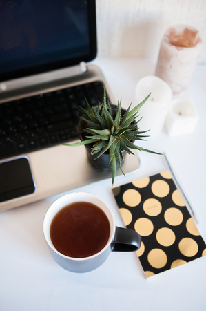 Working at home. Notebook with pen, plant and candles, teaの写真素材