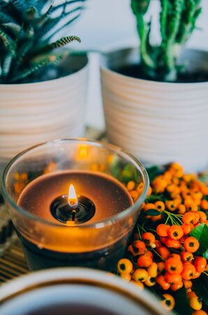Hot tea with sea buckthorn, selective focus, bright background. Autumn atmosphere. Warmth and comfort. Sea buckthornの写真素材