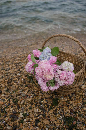 Beautiful pink-blue hydrangea on a background of the sea in a wicker basketの写真素材