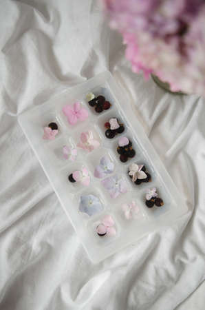 Fresh pink flower frozen in ice cubes, isolated. Fresh for summer drinks