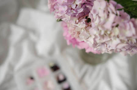 Hortensia flower, hydrangea flower, background.の写真素材