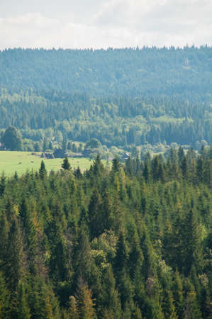 Beautiful landscapes of high mountains in warm autumn in the Carpathiansの写真素材