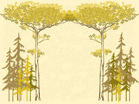 vector illustration background with pines and sprucesのイラスト素材