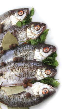 raw fish