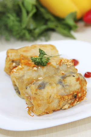 cabbage rolls withの写真素材