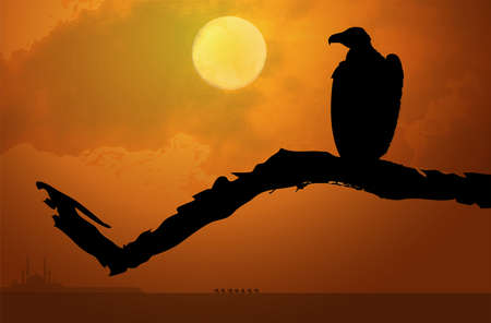 Eagle at Sunsetのイラスト素材