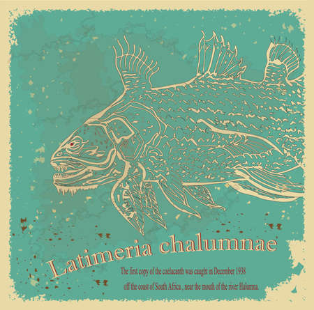 Coelacanth