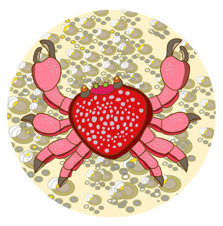 Hawaiian crabのイラスト素材