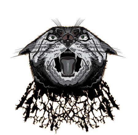 head lynxのイラスト素材