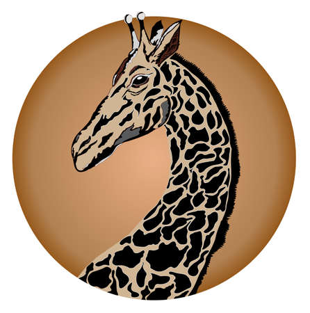 Giraffeのイラスト素材