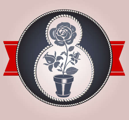 a rose and a numberのイラスト素材