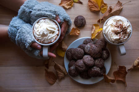 Woman drinking hot chocolate, hands in white gloves on a picture. Against the background of marshmallows and cookies. top viewの写真素材