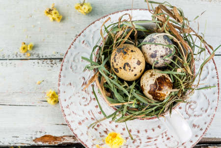 Cute retro still life for the celebration of Easter; eggs in a nest in an old coffee cup on a white wooden table, top view, copy spaceの写真素材