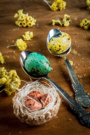 Easter still life: painted quail eggs in spoons, yellow spring flowers and ornamental bird's nest with eggs on a wooden table. Close viewの写真素材