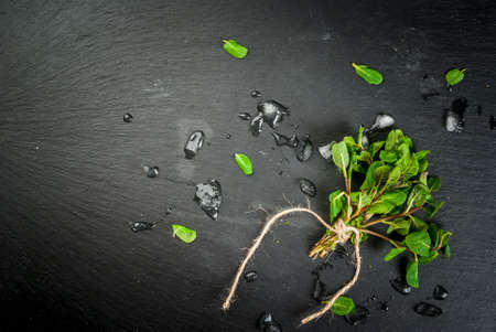 Bunch of fresh mint on black slate table with pieces of ice. The concept of cooling summer drinks. Top view, copy spaceの写真素材