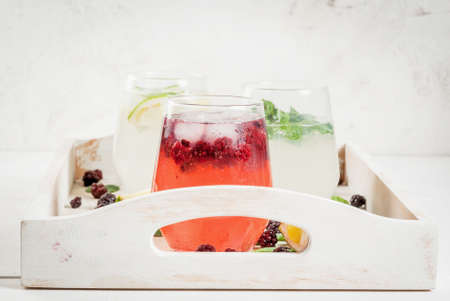 Selection of three kinds of gin tonic: with blackberries, with lime, with mint leaves. In glasses on a white tray, with ingredients. Copy spaceの写真素材