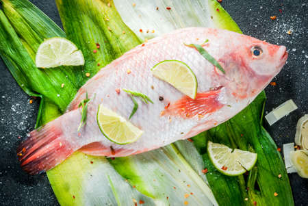Fish. seafood. Asian and Eastern cuisine. Red tilapia on leeks with pieces of lime, herbs and spices. Pickled. Ready for baking, grilling. Top view copy spaceの写真素材