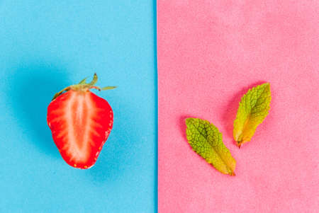Fresh raw organic seasonal fruits and berries. The seamless pattern - mint, strawberry on a colorful blue and pink background. Top view copy spaceの写真素材