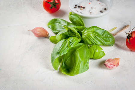 Food background. Ingredients, greens and spices for cooking lunch, lunch. Fresh basil leaves, tomatoes, garlic, onions, salt, pepper. On a white stone table. Copy spaceの写真素材