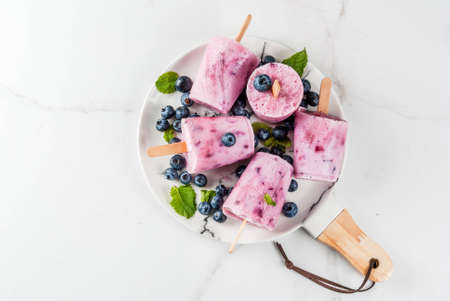 Summer sweets and desserts. Vegan food. Frozen drinks, smoothies. Ice cream popsicles from homemade Greek yogurt and fresh organic blueberries. With mint. On plate, white table. Copy space top viewの写真素材