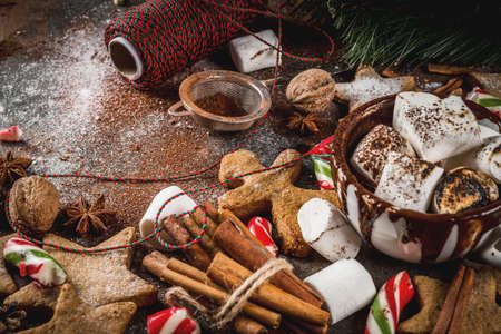 New Year, Christmas treats, sweets. Cup of hot chocolate with fried marshmallow, ginger star cookies, gingerbread men, striped candy, spices cinnamon anise, cocoa, powdered sugar.  Copy spaceの写真素材