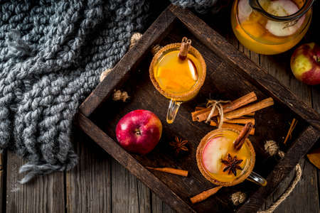 Halloween, Thanksgiving. Traditional autumn, winter drinks and cocktails. Spicy hot pumpkin sangria, with apple, cinnamon, anise. In tray, rustic wooden table, glass mugs. Top viewHalloween, Thanksgiving. Traditional autumn, winter drinks and cocktails. Sの写真素材