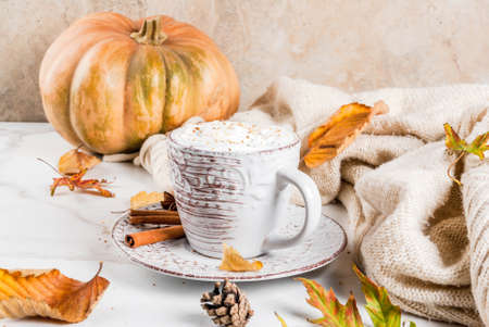 Autumn hot drinks. Pumpkin latte with whipped cream, cinnamon and anise on a white marble table, with a sweater (blanket), autumn leaves and fir cones. Copy spaceの写真素材