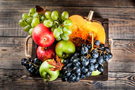 Autumn and thanksgiving harvest concept. Seasonal fall fruits and pumpkin on wooden table, copy space top viewの写真素材